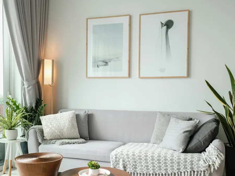 Cozy living room with a sofa and plants